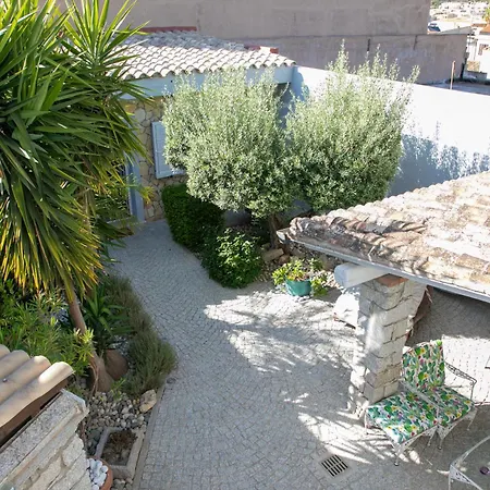 Hibiscus Готель типу 