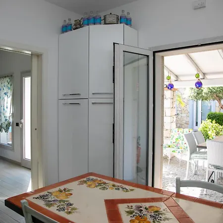 Hibiscus Готель типу 