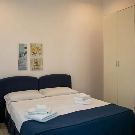 Hibiscus Готель типу 