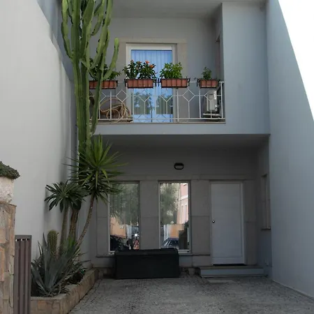 Hibiscus Готель типу 