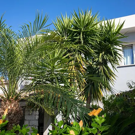 Hibiscus B&B 3* Villasimius